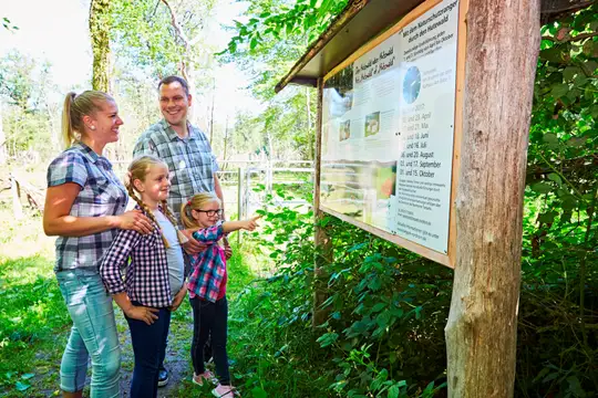 Eingang in den Hutewald