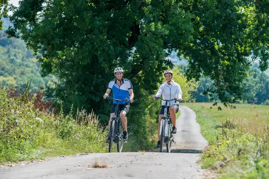 Radfahren in der sanften Hügellandschaft rund um Bad Driburg