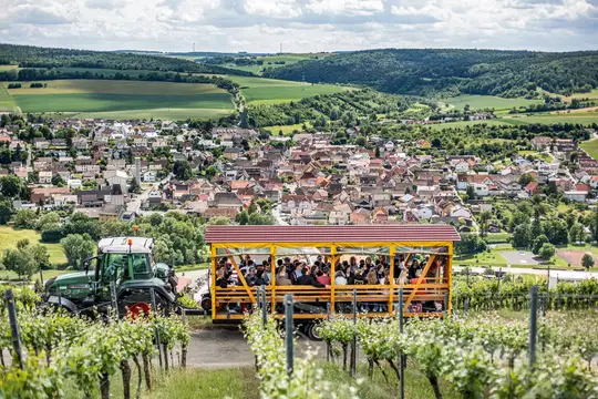 Wein und Geselligkeit