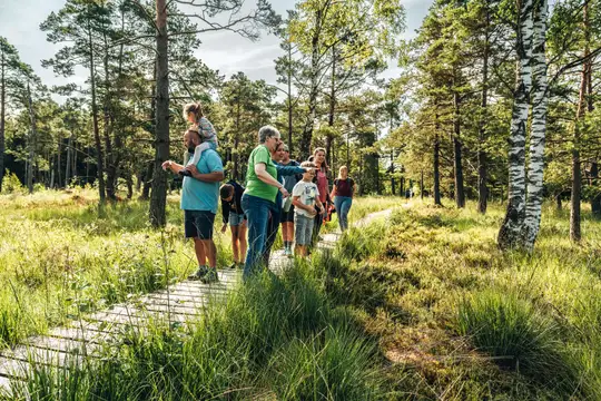 Naturkundliche Führung im Ried
