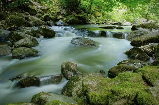 Flusslandschaft