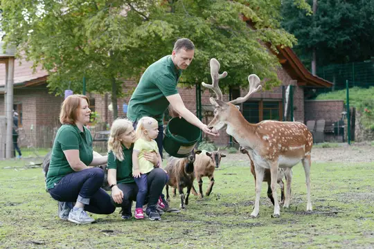 Familienurlaub naturnah, Tiere füttern auf dem Hof