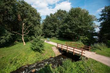 Radfahrer unterwegs im Borkener Paradies bei Meppen