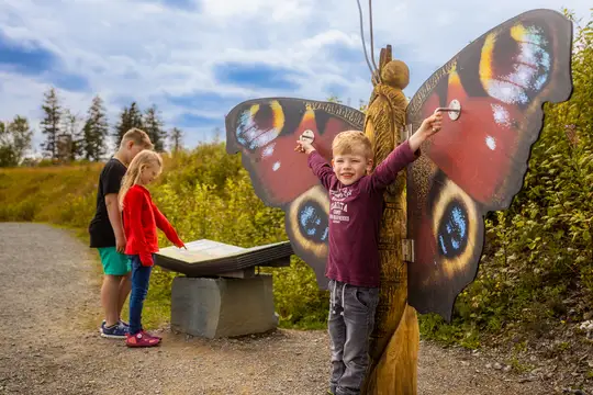 Kinder lieben die spannenden Erlebniswege auf dem Ettelsberg in Willingen