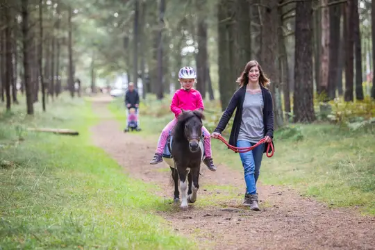 Ponyreiten im Wald