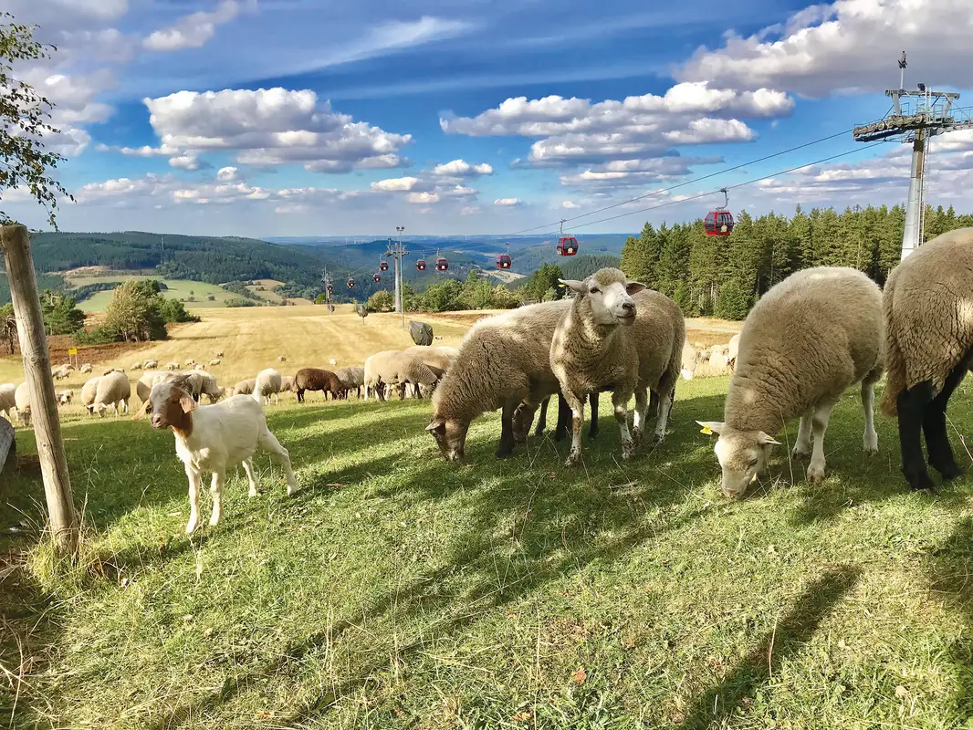 Familienurlaub in Willingen zu gewinnen