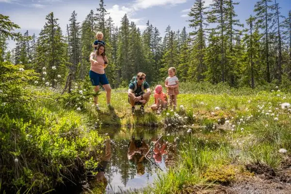 Filz&Moor - Österreichs größtes Moorerlebnis