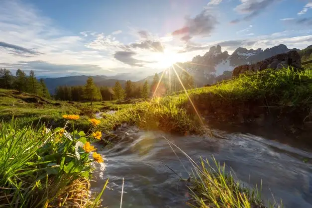 Bergsommer Filzmoos im SalzburgerLand