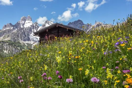 Bergdorf Filzmoos im SalzburgerLand