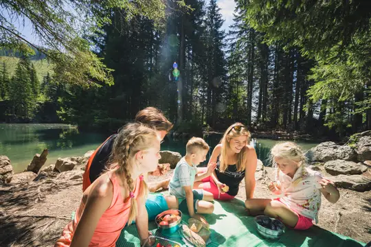 Picknick am Almsee