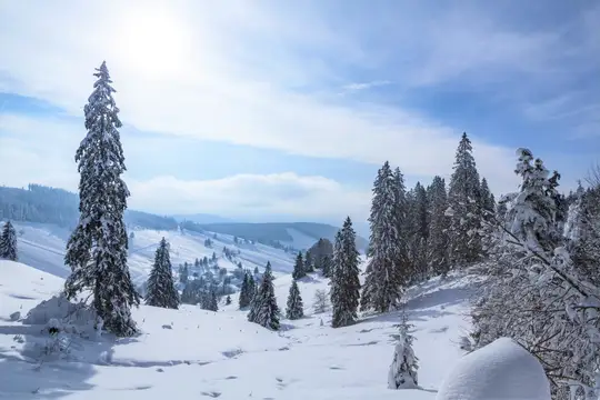 Blick auf verschneites Todtnauberg