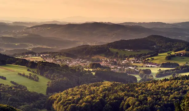 Zenting – eingebettet in den Sonnenwald