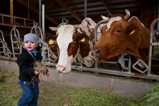 Zu Gast bei Freunden – Ferien auf dem Bauernhof