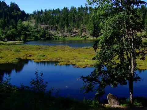 Der Nonnenmattweiher