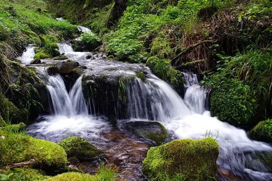 Münstertäler Wildbach