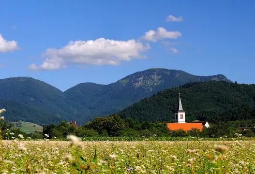 Blick auf den Belchen