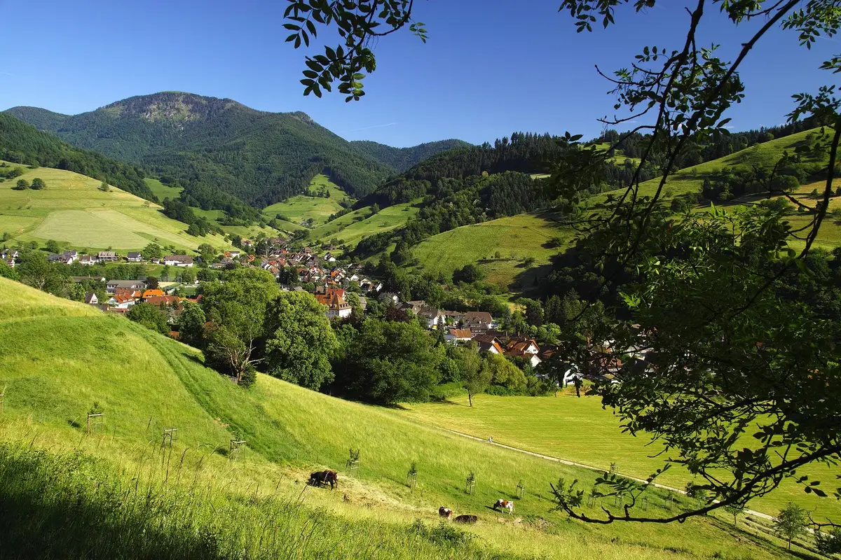 Schatzsucherwochenende im Münstertal