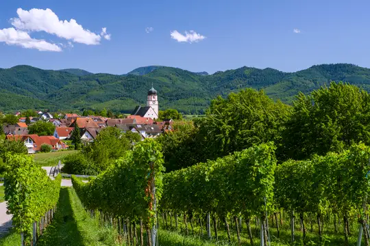 Im Breisgau