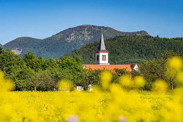 Schnuppertage in der Ferienregion Münstertal Staufen