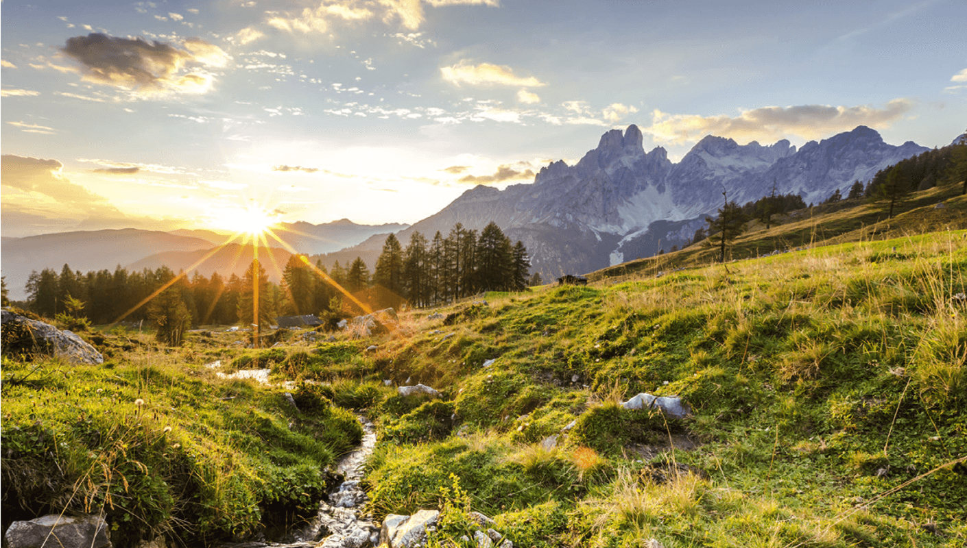 Almrausch im Bergdorf Filzmoos