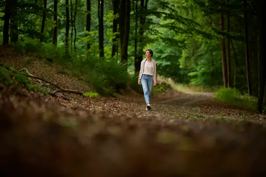 Kühle Luft im Buchenwald genießen
