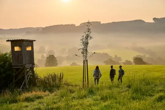 Sonnenaufgangsstimmung