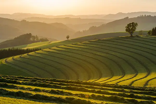 Auszeit im Schmallenberger Sauerland zu gewinnen!