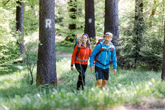 Wanderer am Rennsteig im Thüringer Wald