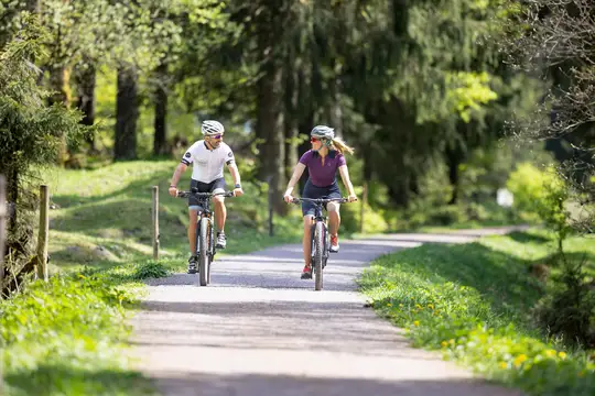 Mountainbiken auf dem Rennsteig Radweg