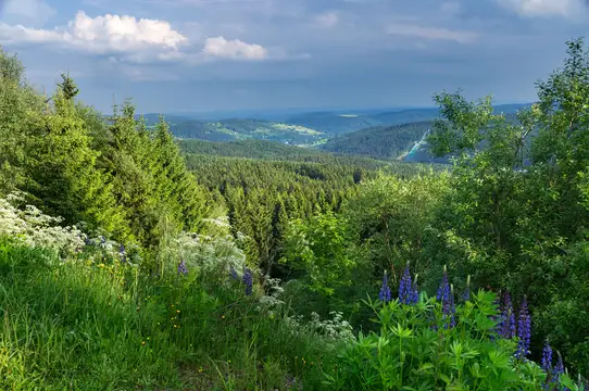 Fernblick vom Topasfelsen Schneckenstein
