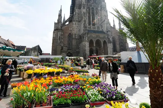 Am Fuße des höchsten Kirchturms der Welt