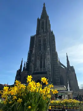 Der Hauptturm des Ulmer Münsters