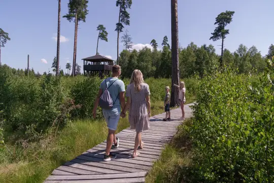 Moorerlebnispfad Pöllwitzer Wald - gemeinsam auf Entdeckungstour