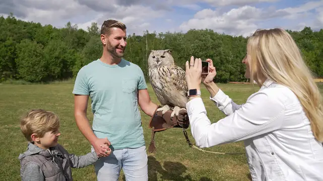 Faszination Greifvögel hautnah!