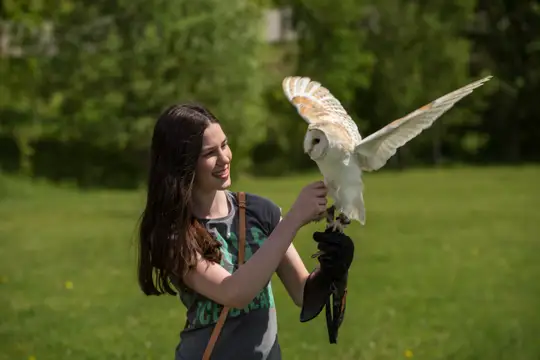 Tierische Erlebnisse in der Falknerei Herrmann