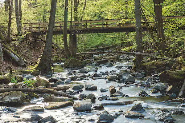 Wildromantische Holzbachschlucht