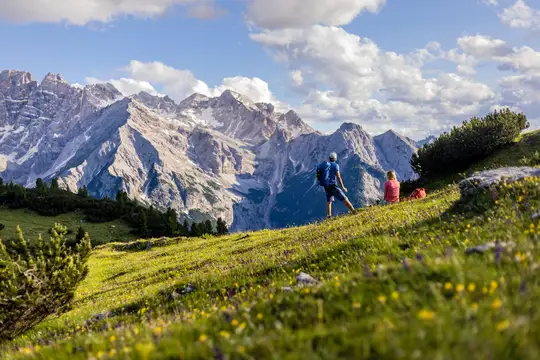 Dolomiten-Panorama / Plätzwiese, Südtirol