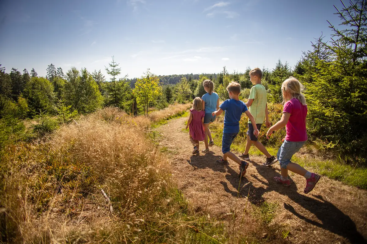 Sommerferienprogramm für die ganze Familie