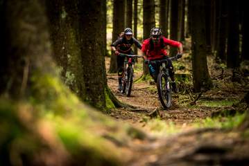 Bike-Trails in den Willinger Wäldern