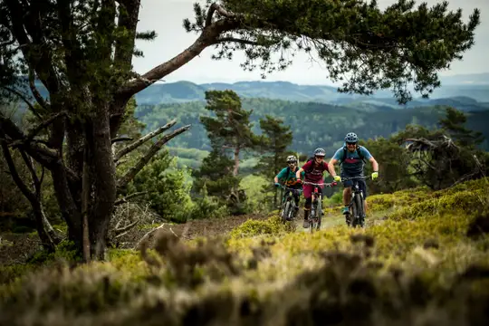 Biken entlang schönster Mittelgebirgslandschaft