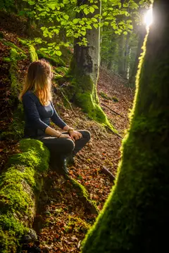Der Wald als Ruheort