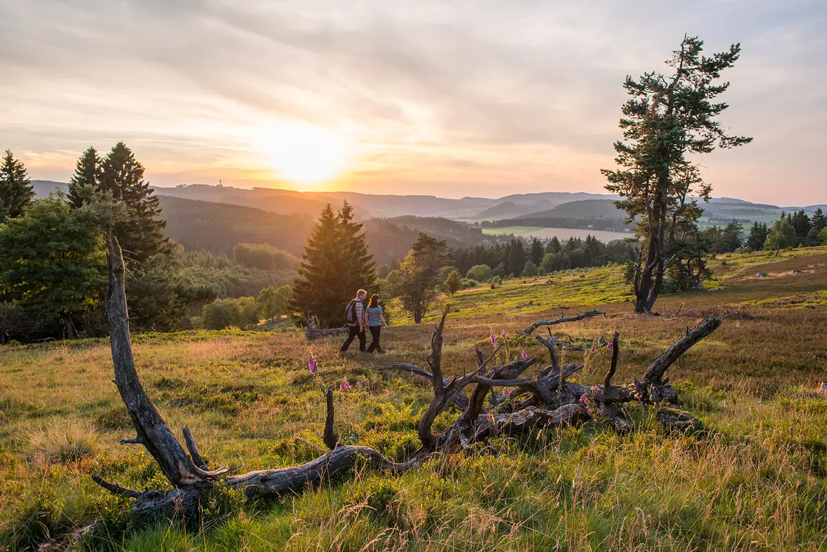 Entspannter Urlaub in der Willinger Berwelt zu gewinnen