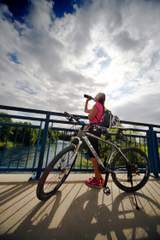 Ehingen an der Donaubrücke