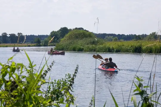 Paddeln auf der Aller