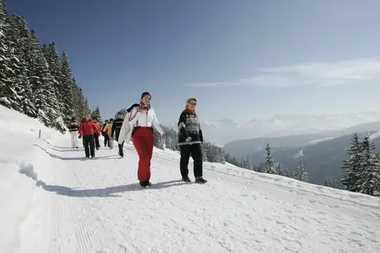 Winterwandern auf dem Winterhöhenwanderweg zum Berghaus Schwaben
