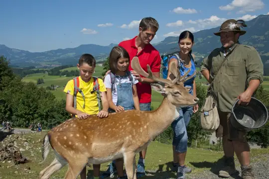 Besuch im Alpenwildpark Obermaisetlstein