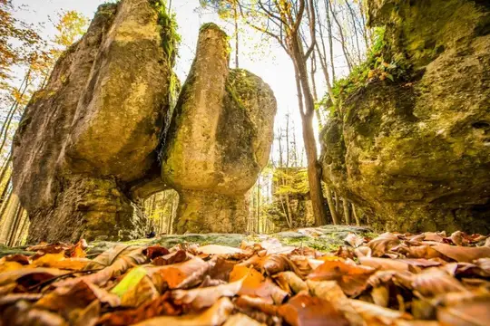 Felslandschaft Steinerne Stadt