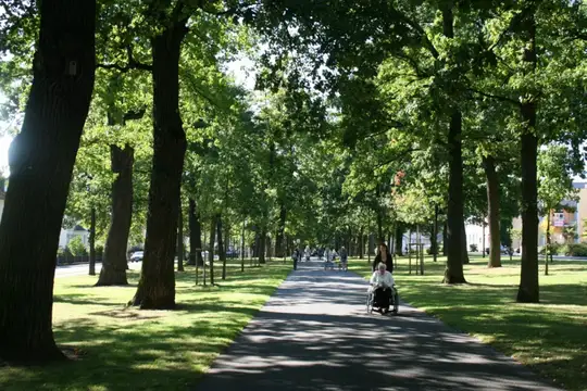 Große Allee Bad Arolsen