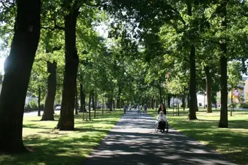 Große Allee Bad Arolsen