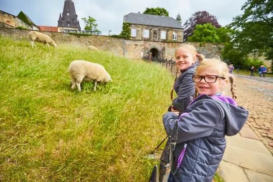 Tierische Freunde auf Burg Bentheim